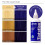 Kiss Tintation Ημι-Μόνιμο Χρώμα Μαλλιών 148 mL (5 fl.oz) (Ζωντανό Βιολετί) 4