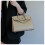 Platinum Bag Tote Bag   Women's  Bag 2