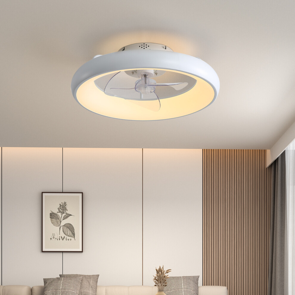 20inch Industrial Style Ceiling Mount LED Fan Light