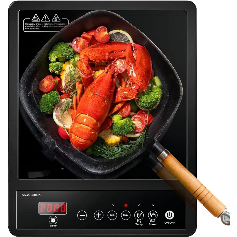 (Regular) Single Induction Hob, Portable Induction Hob, 10 Temperature Settings and Power levels from 300W to 2000W, Black Frosted Glass Panel