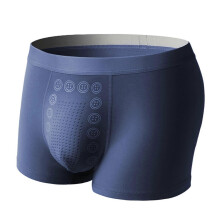 (L, Light gray) Eft Underwear - Eft Energy Field Therapy Mens Underwear, Magnetic Therapy Energetic Man Ice Silk Boxer Briefs