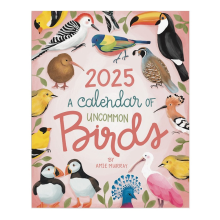2025 A Calendar of Uncommon Birds - Bird Watcher Monthly Wallpaper Organizing & Planning