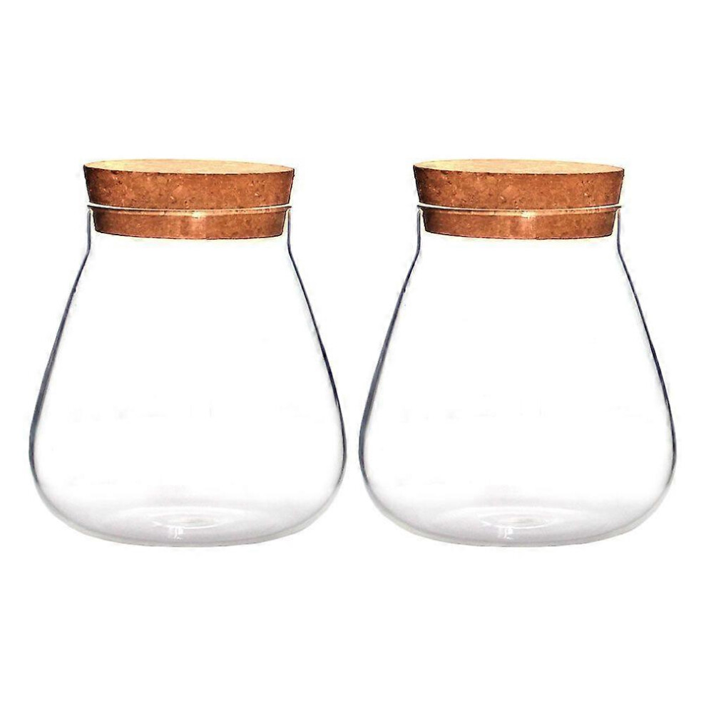 Kricely (As Show, One Size) 2Pcs Creative Micro Landscape Vases Clear Bubble Bowls Plant Nourishing Bottles