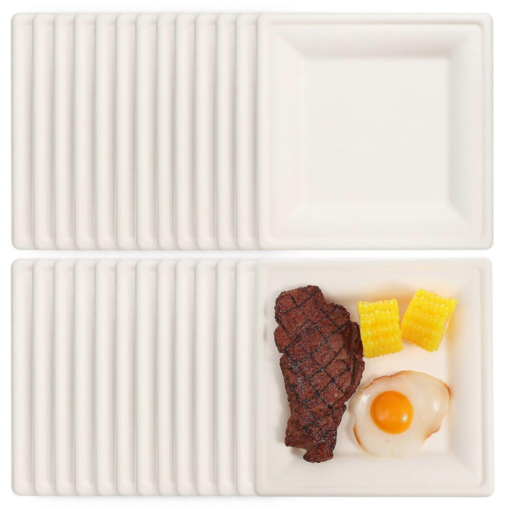 Kricely (As Show, One Size) 50Pcs Disposable Plates Square Disposable Serving Platters Party Plates Food Trays For Picnic Camping
