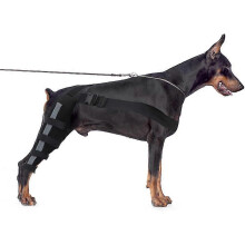 (L, Black) Dog Knee Brace, Dog Double Rear Leg Brace With Reflective Seat Belts, Adjustable Dog Back Leg Brace For Acl Wounds CLE