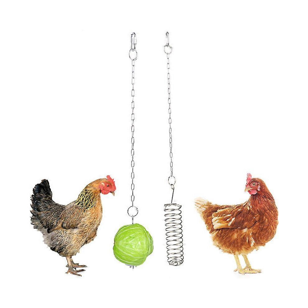Stainless Steel Fruit Fork Parrot Feeder Small Animal Cage Snack Toys 2 Pieces (D-583-A)