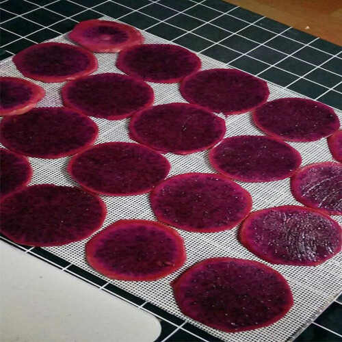 Food Dehydrator Sheets 10pcs 29x37cm Silicone Sheets Fruit Dehydrator Mats Silicone Dehydrator Sheets 2