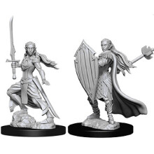 D&D Nolzurs Cudowne niepomalowane miniatury: Fala 9: Elficka paladynka