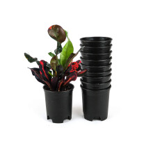Jardiniere din plastic pentru ghivece de pepiniera de 4 inch pentru plante de interior n aer liber Gradinarit Ghivece de flori Pachet de 10 capt