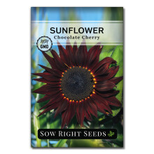 Sow Right Seeds - Σπόροι Ηλιοτρόπιου Σοκολάτας Cherry για Φύτευση - Non-GMO Πακέτο με Οδηγίες