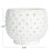 Creative Co-Op Distressed Terra Cotta Blomkruka, Vit 2