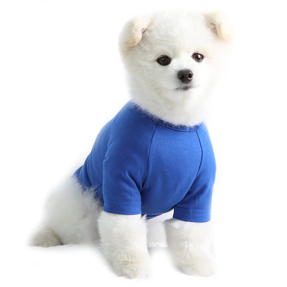 T-shirt Lucky Petter pour petits chiens, uni, doux et respirant, en coton, v   tement pour animaux de compagnie (petit, bleu)