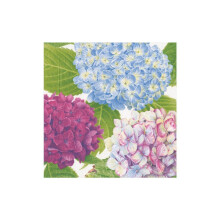 Viacfarebn koktailov obr sok Caspari Hydrangea Garden