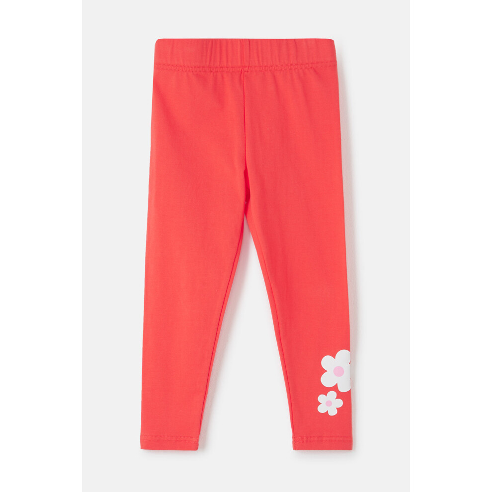 (4-5 Yrs, Coral Flower) Mollie Leggings Soft Cotton Stretch