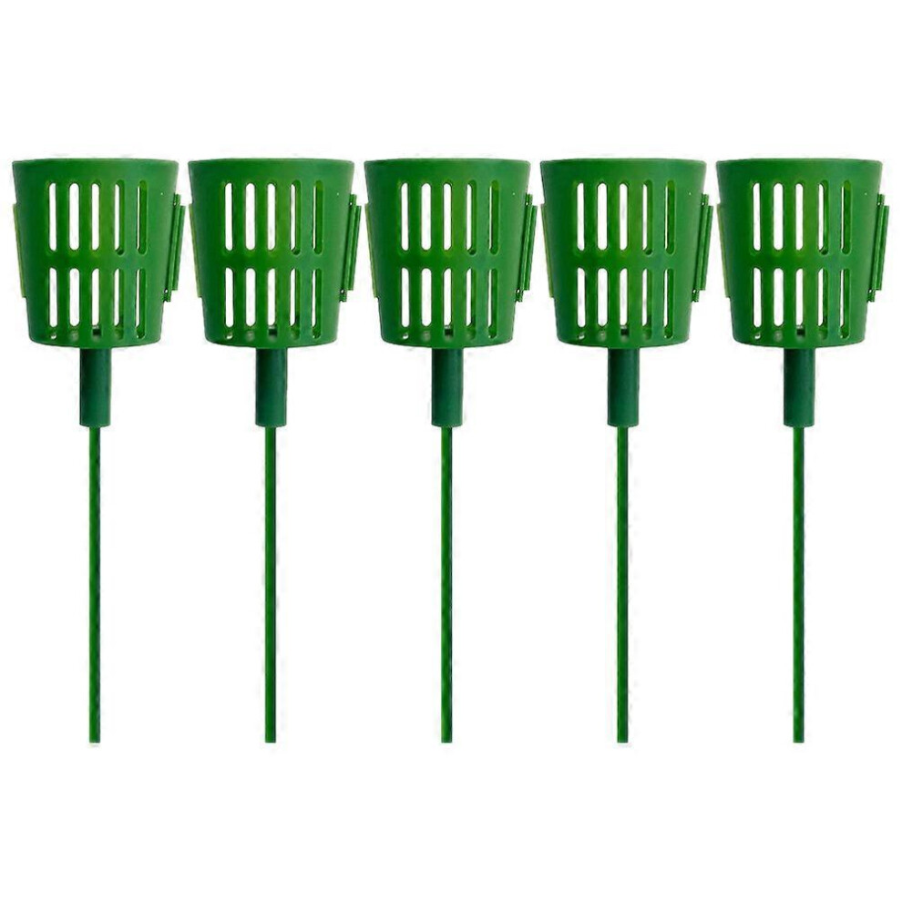 Kricely (As Show, One Size) 5Pcs Succulent Plants Holder Bouquet Holder Bouquet Arrangement Support Craft Accessories