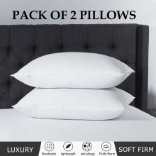 (2x Hollowfiber Pillows) Microfibre Mattress Topper Hotel Quality Box Stitched 5cm Deep Super Soft Anti Allergy Quilted Mattress Topper