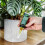 Westland Houseplant Droplet Feeder 40ml 3