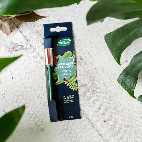 Westland Westland Indoor Houseplant Watering Indicator 2