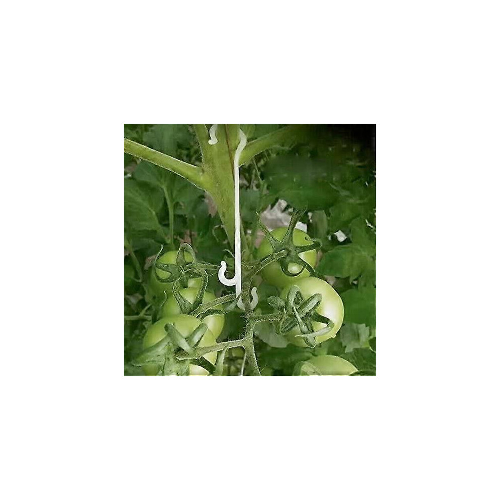 100 Pièces 16CM Clips de fixation pour plantes de jardin, Clips de support pour plantes grimpantes, Clips pour tomates, Support pour tomates