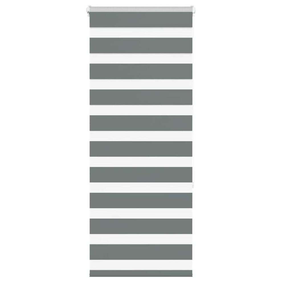 Vidaxl (Dark Grey, 60 X 150 Cm) Zebra Blind Dark Grey 60X230 Cm Fabric Width 55.9 Cm Polyester