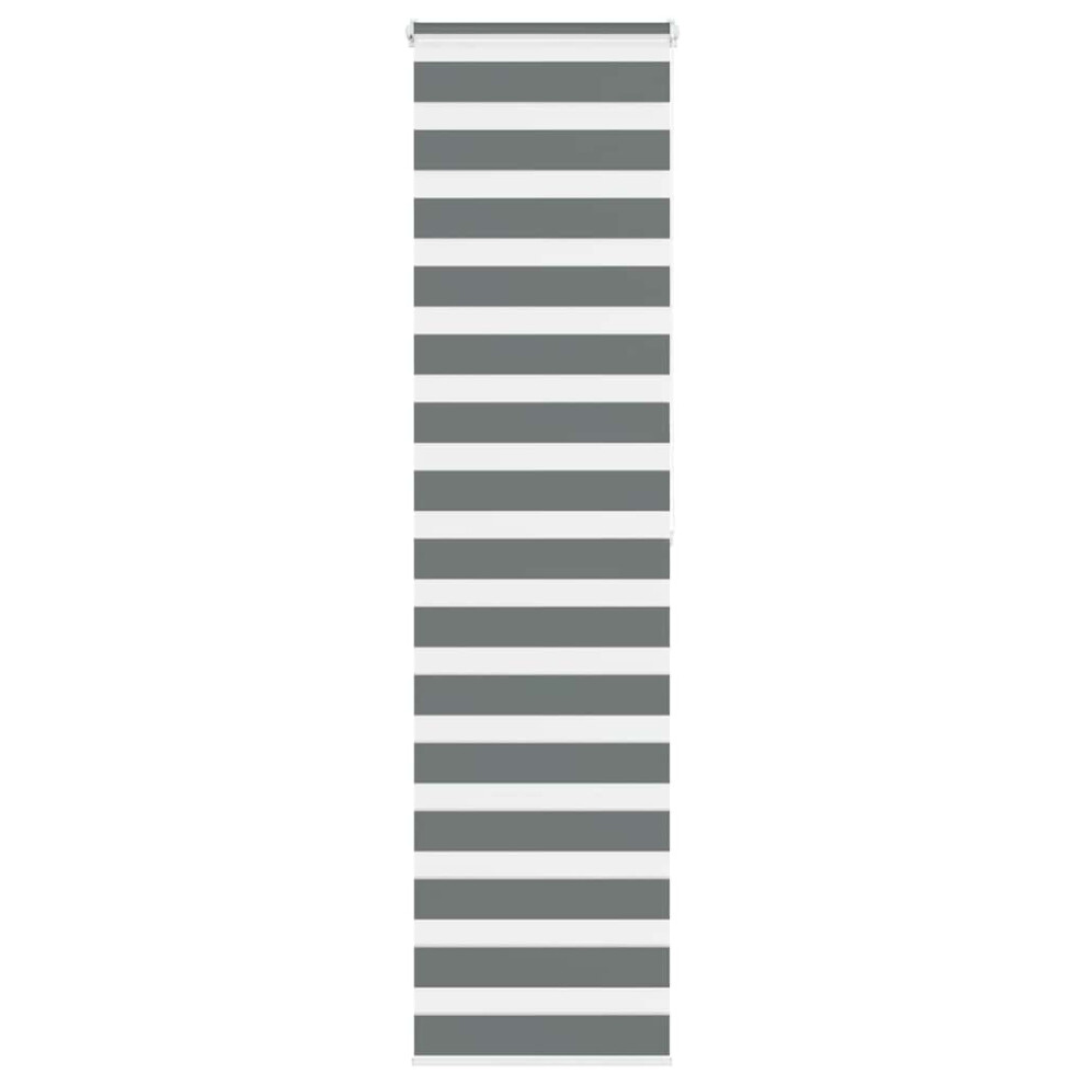 Vidaxl (Dark Grey, 55 X 200 Cm) Zebra Blind Dark Grey 60X230 Cm Fabric Width 55.9 Cm Polyester
