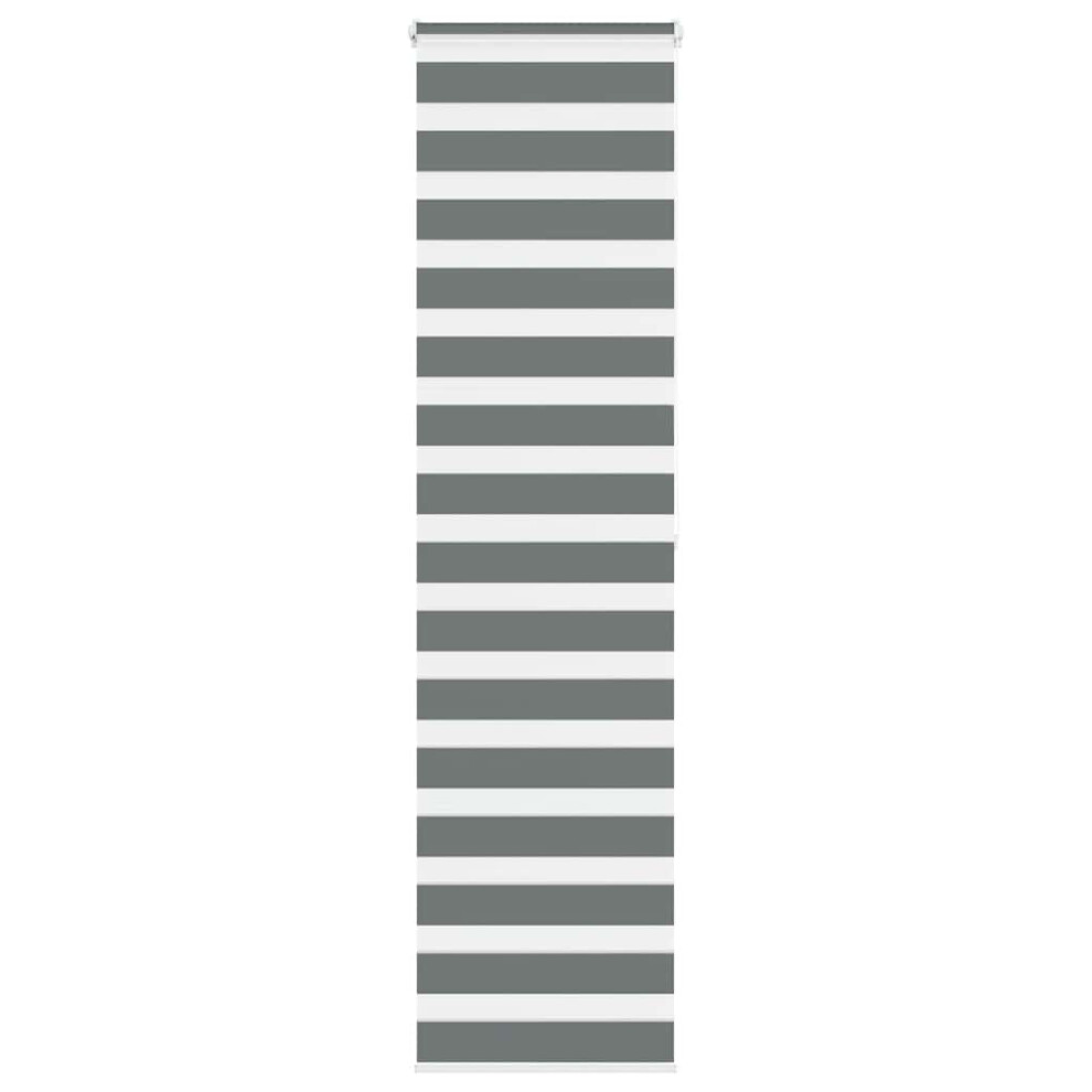 Vidaxl (Dark Grey, 60 X 200 Cm) Zebra Blind Dark Grey 60X230 Cm Fabric Width 55.9 Cm Polyester