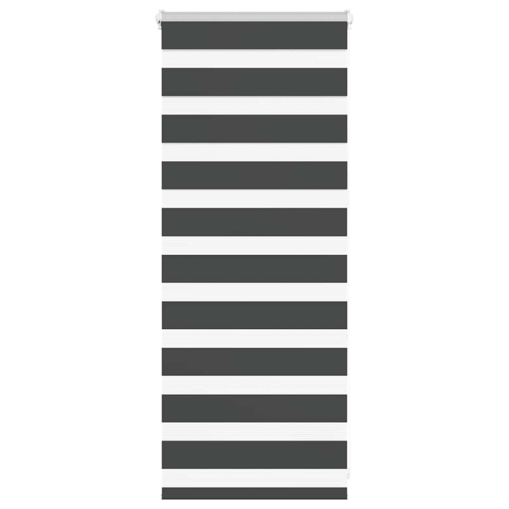 Vidaxl (Black, 65 X 100 Cm) Zebra Blind Dark Grey 60X230 Cm Fabric Width 55.9 Cm Polyester