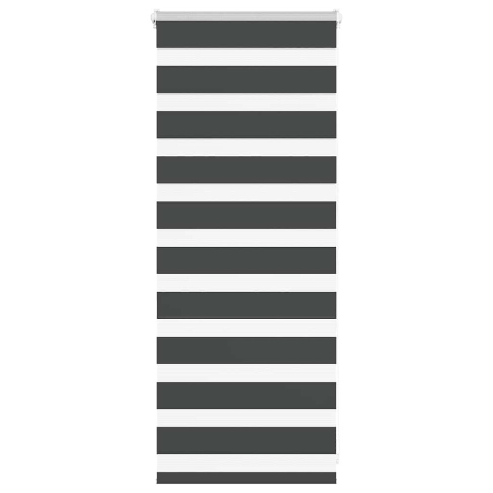 Vidaxl (Black, 60 X 100 Cm) Zebra Blind Dark Grey 60X230 Cm Fabric Width 55.9 Cm Polyester