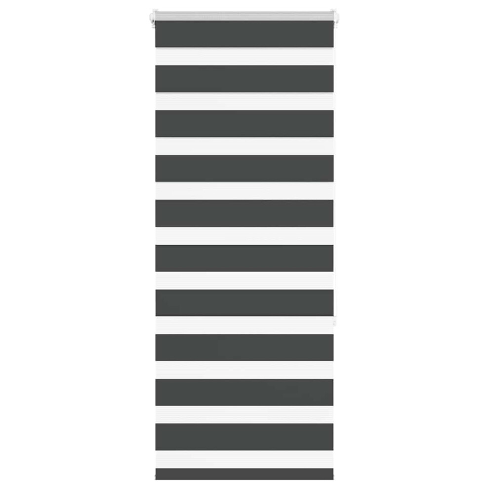 Vidaxl (Black, 65 X 150 Cm) Zebra Blind Dark Grey 60X230 Cm Fabric Width 55.9 Cm Polyester