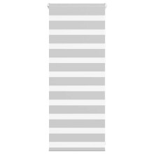 vidaXL Doppelrollo Hellgrau 60x100 cm Stoffbreite 55,9 cm Polyester