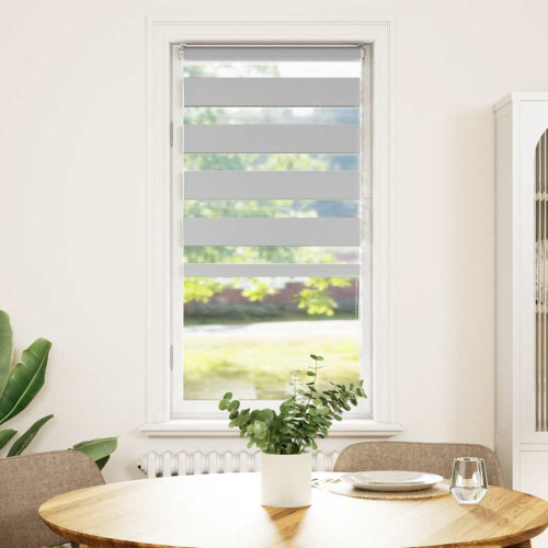 VidaXL vidaXL Doppelrollo Hellgrau 60x100 cm Stoffbreite 55,9 cm Polyester 1