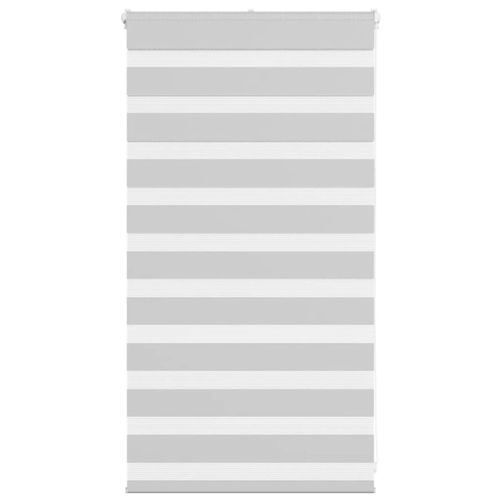 Vidaxl (Light Grey, 70 X 100 Cm) Zebra Blind Dark Grey 60X230 Cm Fabric Width 55.9 Cm Polyester