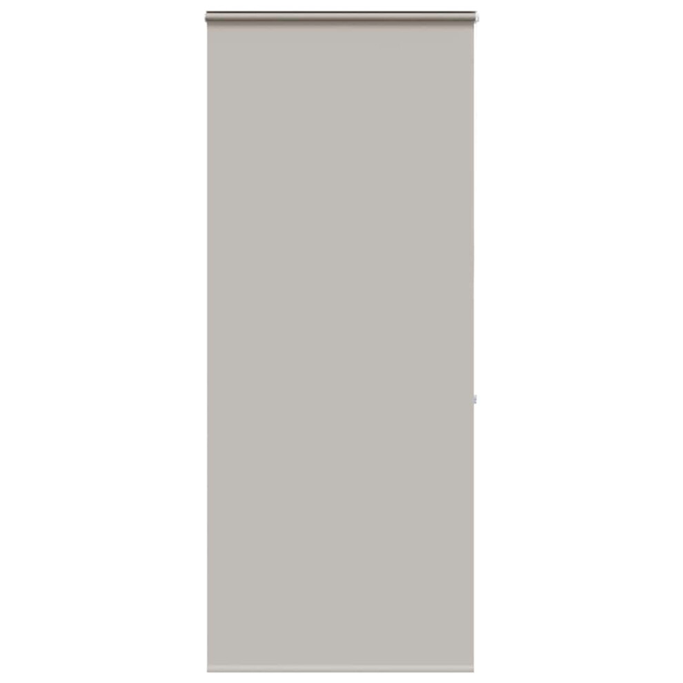 Vidaxl (Light Grey, 100 X 240 Cm) Shower Roller Blind With Cassette 140X240 Cm Fabric Width 136 Cm