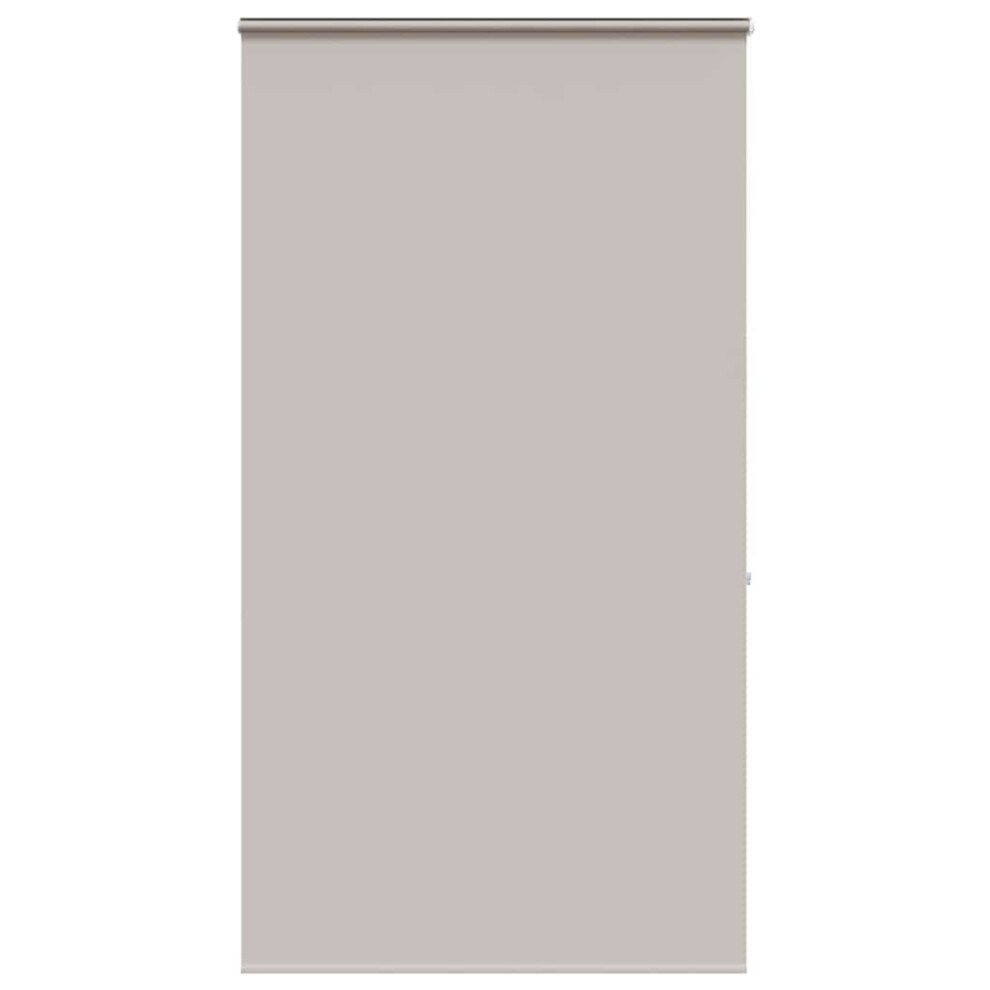 Vidaxl (Light Grey, 140 X 240 Cm) Shower Roller Blind With Cassette 140X240 Cm Fabric Width 136 Cm