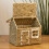 Carousel Charming House-Shaped Wicker Storage Basket | Home Storage Solution - 20x36cm 2