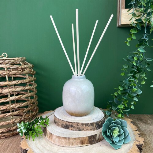 Carousel 100ml Ceramic Reed Diffuser | Floral Fragrance Room Diffuser - Aroma gift 1