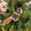 Carousel Christmas Tree Beaded Parrot Bauble | Christmas Tree Hanging Ornament - 10cm 2
