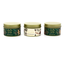 Set Of 3 Vanilla & Mistletoe Fir Christmas Scented Tin Candles | Candle Gift Set