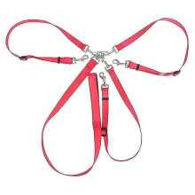 (As show, One size) Three Head Three Dog Coupler Adjustable Dog Puppy Pet Puppy Training Compliance Lead Fur (Red)