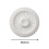 Ceiling Rose Medallion Floral Decor Classic Ornate Light Chandelier Feature 3