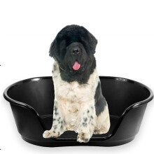 Dog bed heavy duty plastic waterproof pet cat puppy small medium large x-large