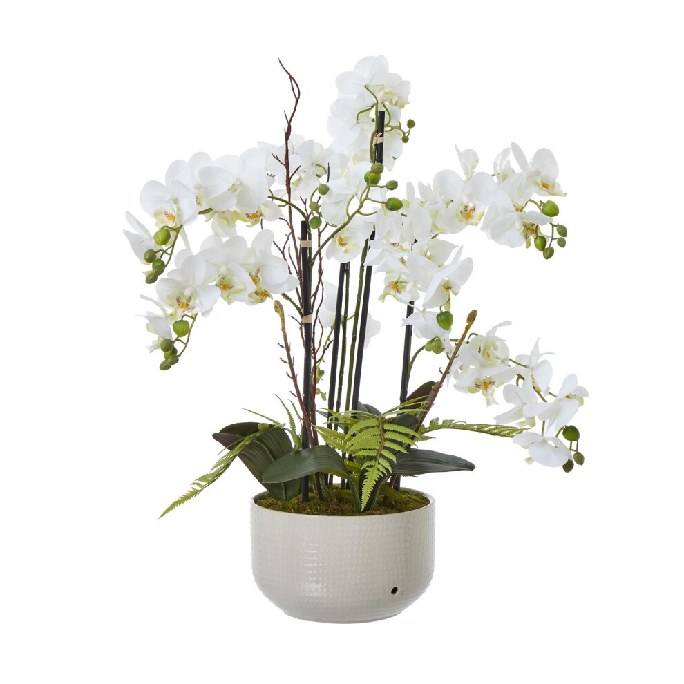 Hill Interiors Ceramic Orchid Flower Pot-image-OPC-PG7ND5X-NEW