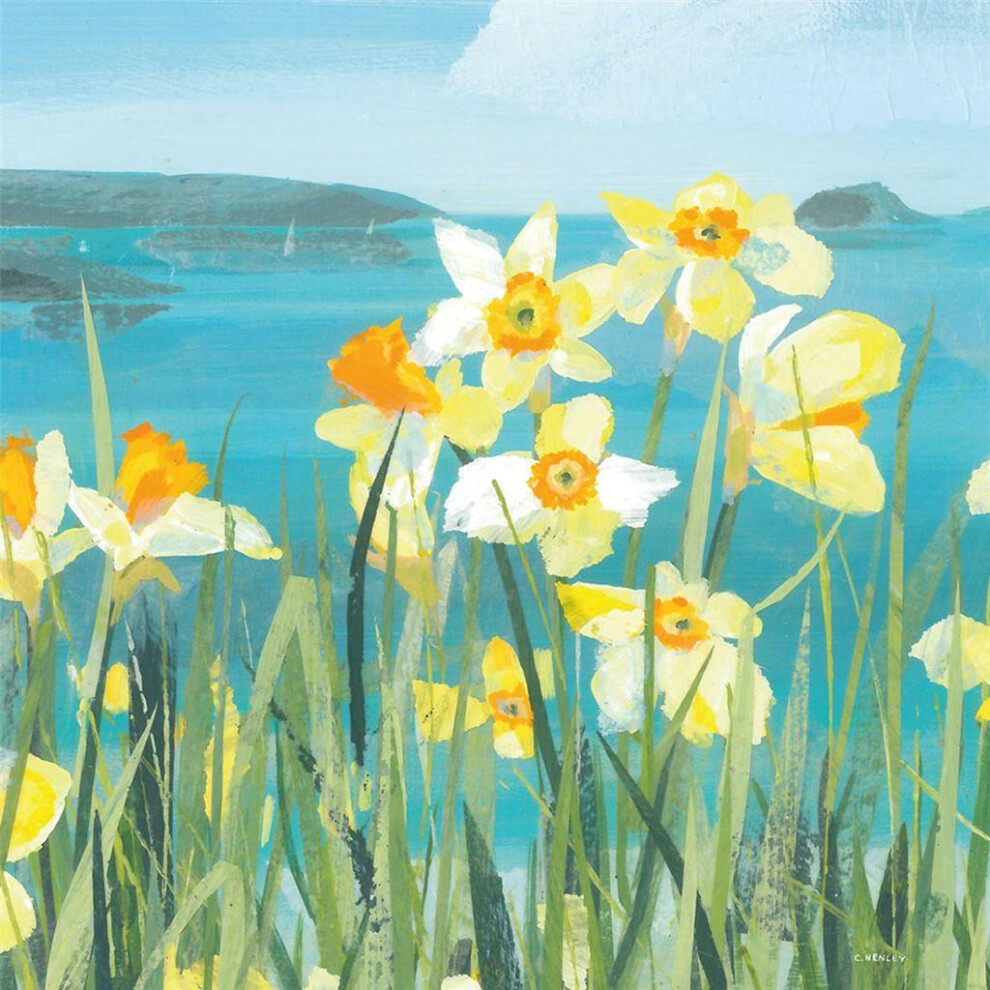 (40.5cm x 40.5cm x 4cm, Multicoloured) Claire Henley Coastal Spring Stretched Canvas