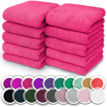 (Pink) 10x Face Cloth 100% Egyptian Cotton Soft Flannels Washcloths High Absorbent Face Towels