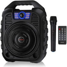 EARISE T26 Portable Karaoke Machine Bluetooth Speaker with Wireless Microphone, Rechargeable PA System with FM Radio, Audio Recording, Remote Control