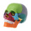 Geni-Store (Multicolor) 4D Disassembled Color Skull Anatomical Model 1