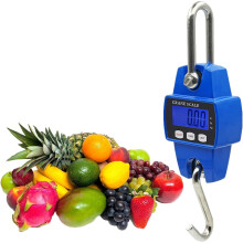 Mini Digital Crane Scale 300kg, Portable Waterproof Crane, Home Electronic Hook Hanging Scales for Farm Hunting Large Luggage