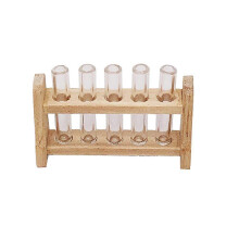 (As show, One size) Photo Ornament 1 12 Scale Terrarium Planter Mini House Test Tubes Hydroponic Plants Stand Mini Furniture