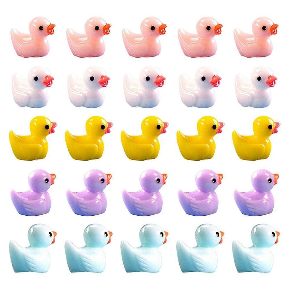 Kricely (As Show, One Size) 60Pcs Bonsai Miniature Decor Resin Duck Charms Resin Decoration Micro Landscape Decor