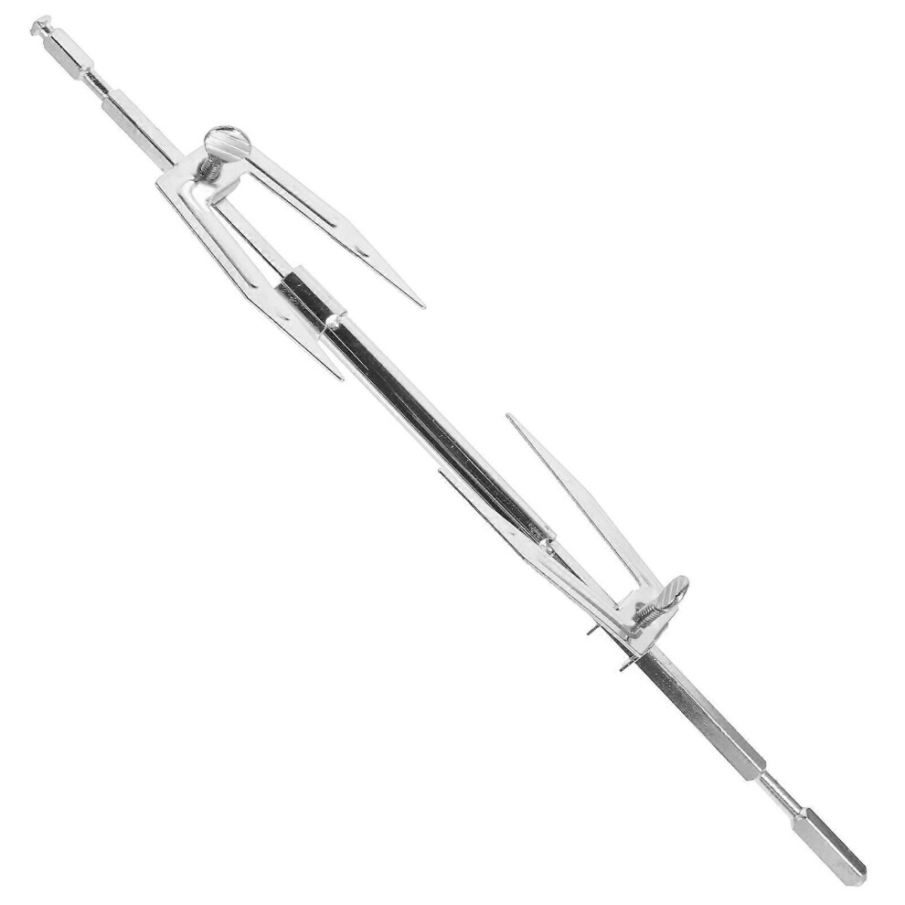 Kricely (As Show, One Size) Air Fryer Fork Grill Roast Chicken Fork Stainless Steel Grill Chicken Fork
